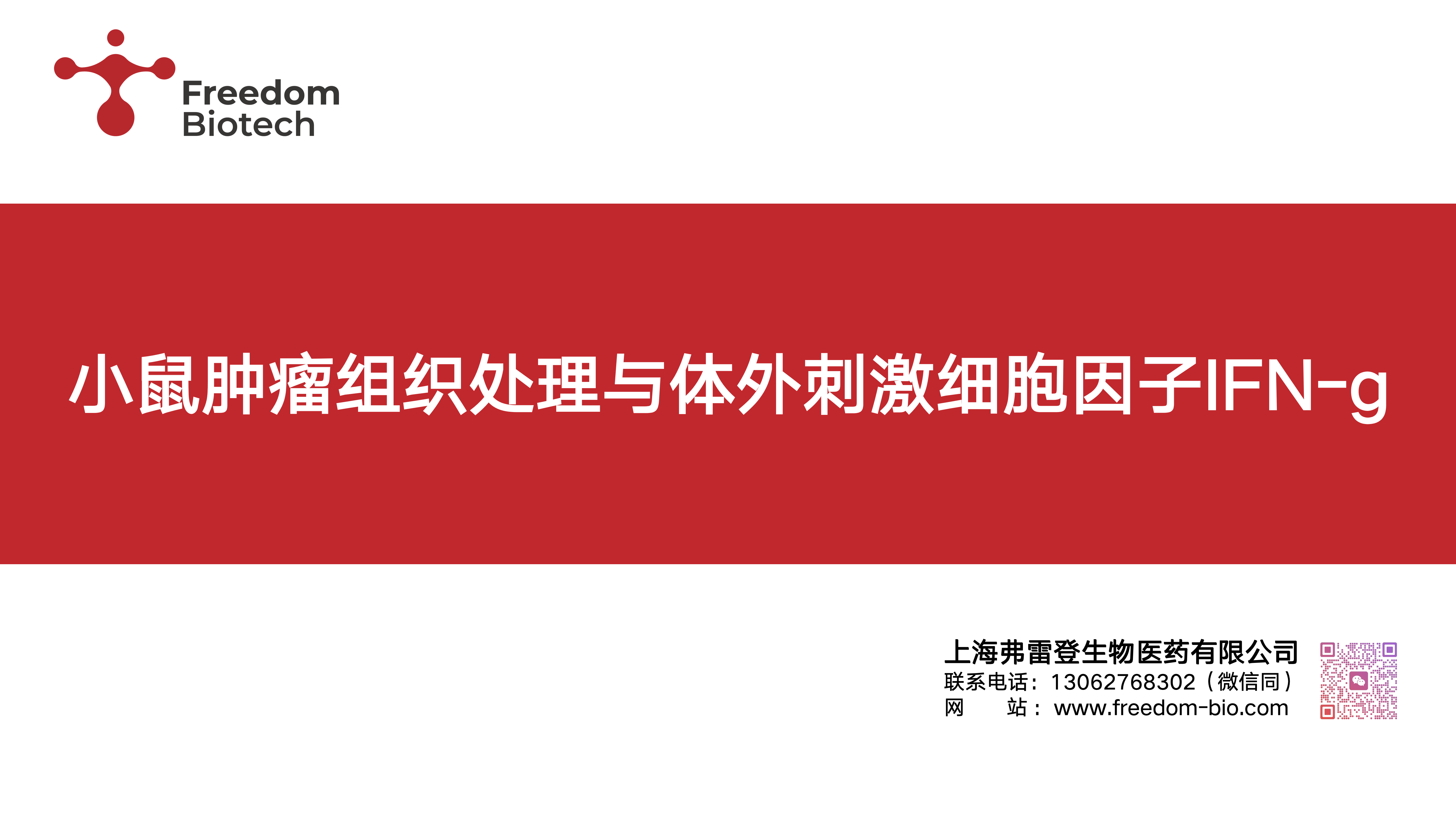 小鼠肿瘤组织处理数据展示20260408_01.png