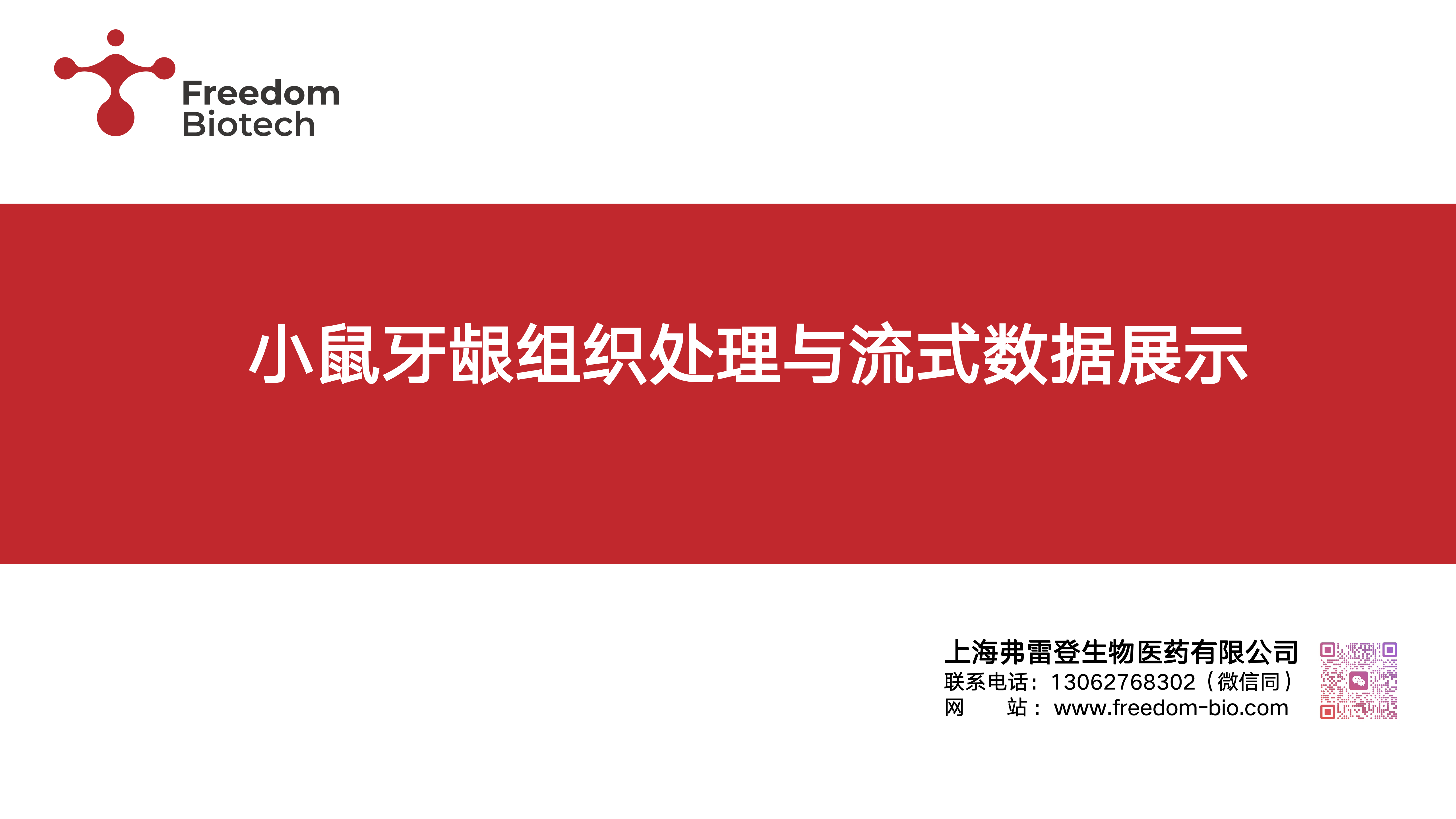 小鼠牙龈组织处理数据展示20260403_01.png