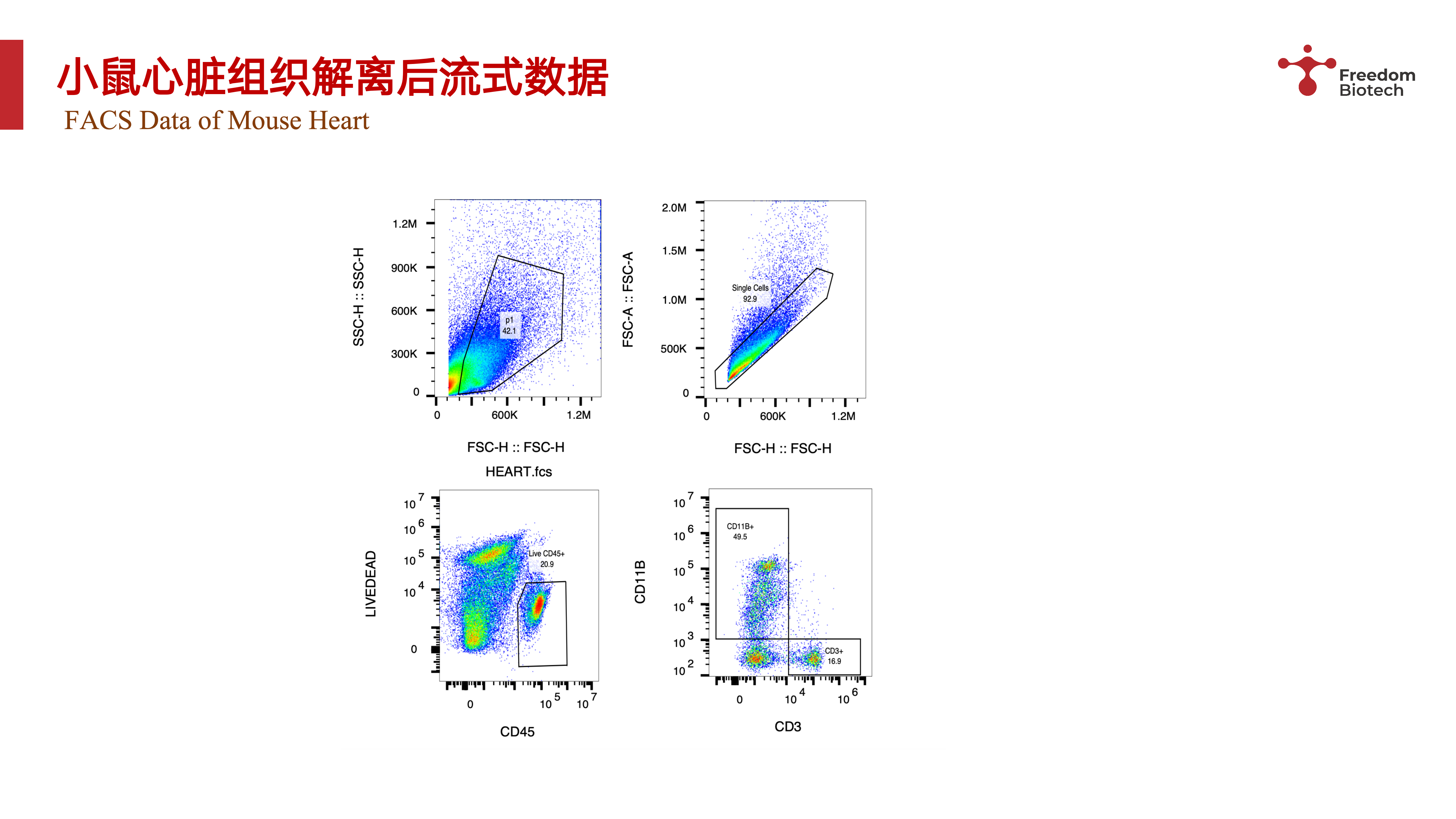 小鼠心脏组织处理与流式数据_04.png