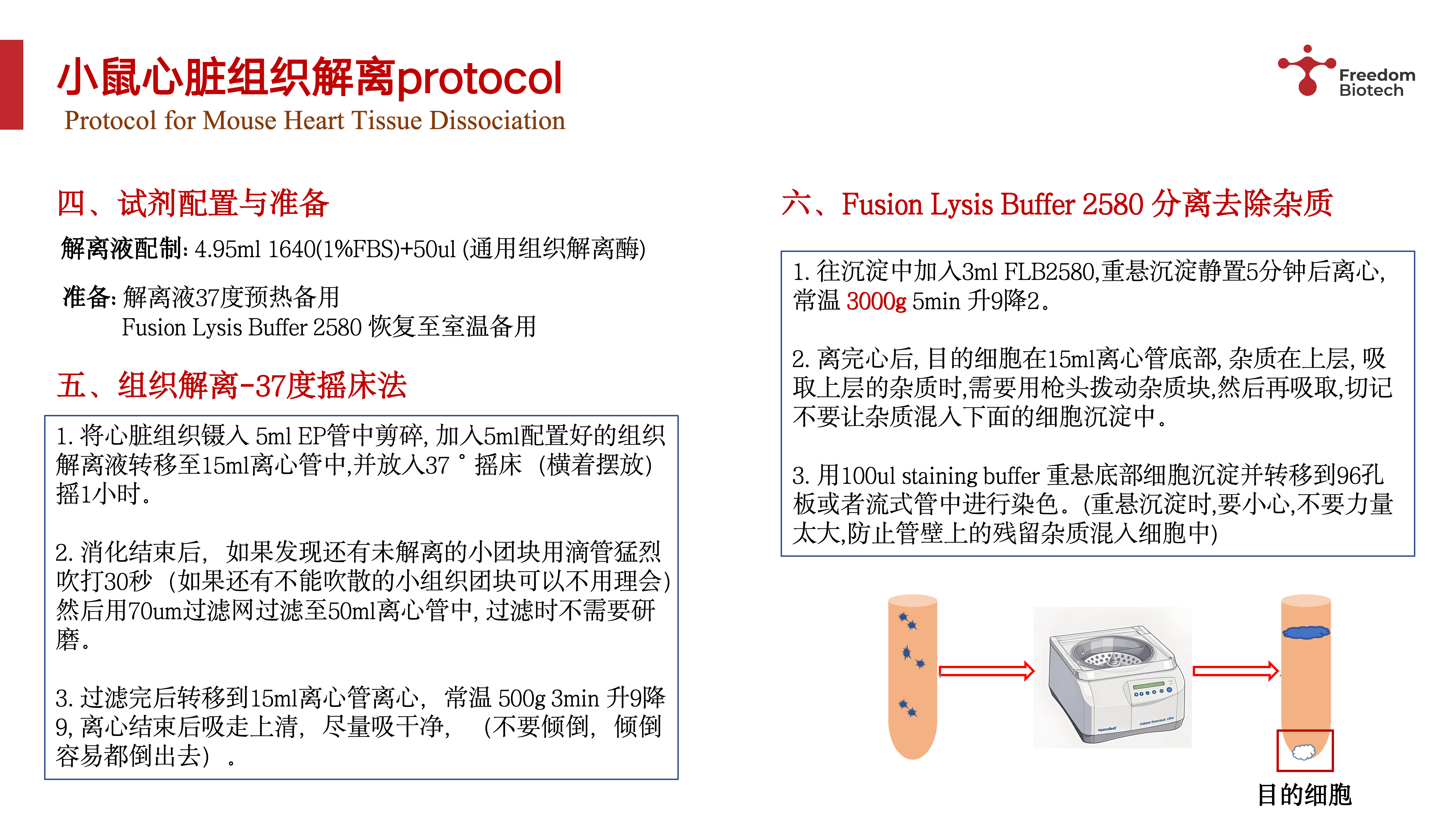 小鼠心脏组织处理与流式数据_03.png